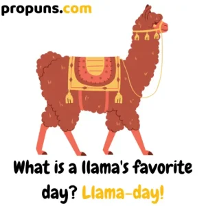 Llama Puns