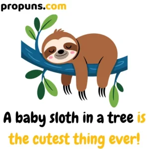 Sloth Puns